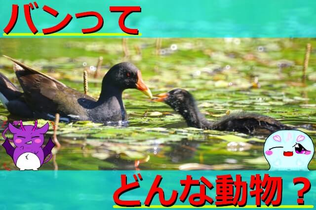 Thumbnail of post image 001